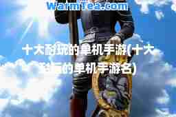 十大耐玩的单机手游(十大耐玩的单机手游名)