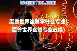魔兽世界盗贼学什么专业(魔兽世界盗贼专业选择)