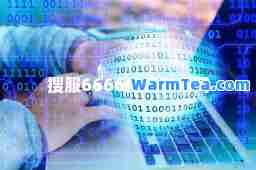 搜服6666传奇发布网
