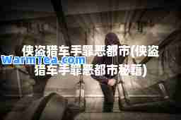 侠盗猎车手罪恶都市(侠盗猎车手罪恶都市秘籍)