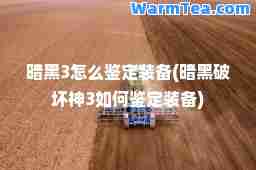 暗黑3怎么鉴定装备(暗黑破坏3如何鉴定装备)