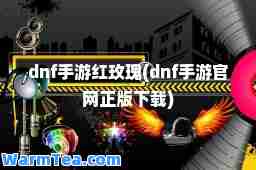 dnf手游红玫瑰(dnf手游官网正版下载)