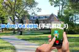 3g手机游戏(手机游戏 3)
