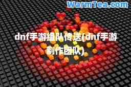 dnf手游组队传送(dnf手游制作团队)