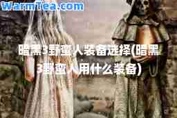 暗黑3野蛮人装备选择(暗黑3野蛮人用什么装备)