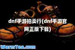 dnf手游拍卖行(dnf手游官网正版下载)
