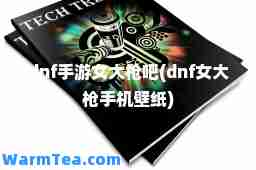 dnf手游女大枪吧(dnf女大机壁纸)