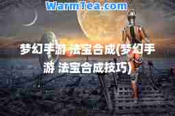 梦幻手游 法宝成(梦幻手游 法宝成技巧)