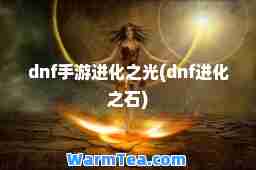 dnf手游进化之光(dnf进化之石)