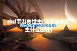 dnf手游救世主(地下城救世主什么属性)