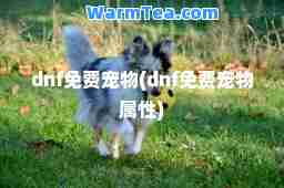 dnf免费宠物(dnf免费宠物属性)