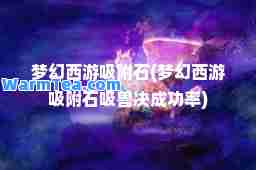 梦幻西游吸附石(梦幻西游吸附石吸兽决成功率)