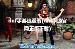 dnf手游逍遥尊(dnf手游官网正版下载)