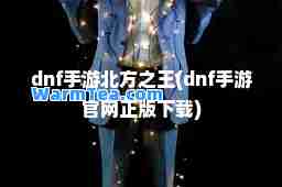 dnf手游北方之王(dnf手游官网正版下载)