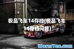 飞车14存档(飞车14存档问题)