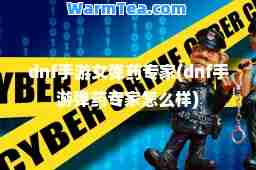 dnf手游女弹药专家(dnf手游弹药专家怎么样)
