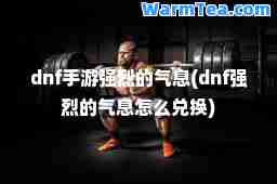 dnf手游强烈的气息(dnf强烈的气息怎么兑换)
