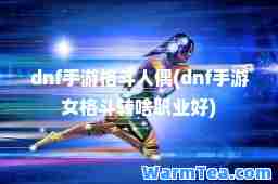 dnf手游格斗人偶(dnf手游女格斗转啥职业好)