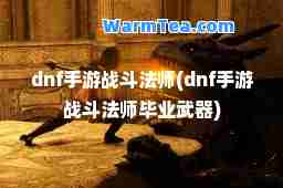 dnf手游战斗法师(dnf手游战斗法师毕业武器)