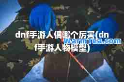 dnf手游人偶哪个厉害(dnf手游人物模型)