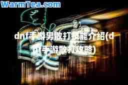 dnf手游男散打技能介绍(dnf手游散打攻略)