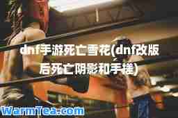 dnf手游死亡雪花(dnf改版后死亡阴影和手搓)