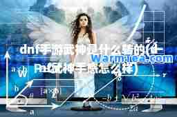 dnf手游武是什么转的(dnf武手感怎么样)