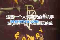 适一个人长期玩的单机手游(适一个人长期玩的单机手游)
