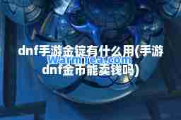 dnf手游金锭有什么用(手游dnf金币能卖钱吗)