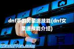 dnf手游男柔道技能(dnf女柔道技能介绍)