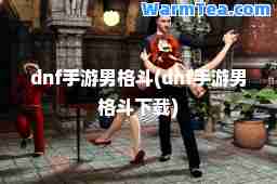 dnf手游男格斗(dnf手游男格斗下载)