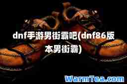 dnf手游男街霸吧(dnf86版本男街霸)