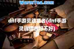 dnf手游灵魂猎者(dnf手游灵魂猎者好不好)