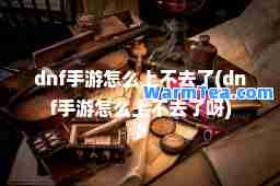 dnf手游怎么上不去了(dnf手游怎么上不去了呀)