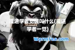 魔道学者觉醒叫什么(魔道学者一觉)