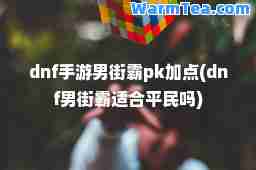 dnf手游男街霸pk加点(dnf男街霸适平民吗)
