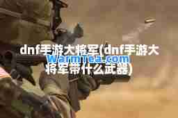 dnf手游大将军(dnf手游大将军带什么武器)