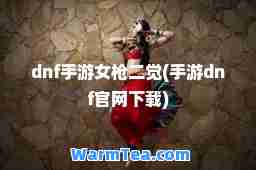 dnf手游女枪二觉(手游dnf官网下载)