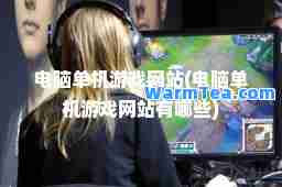 电脑单机游戏网站(电脑单机游戏网站有哪些)