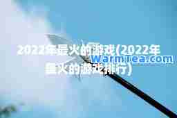 2022年最火的游戏(2022年最火的游戏排行)