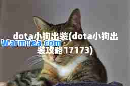 dota小狗出装(dota小狗出装攻略17173)