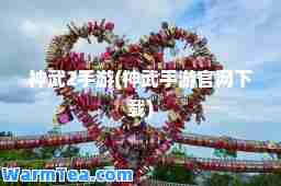 武2手游(武手游官网下载)