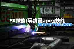 EX技能(导线管apex技能)