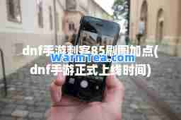 dnf手游刺客85刷图加点(dnf手游正式上线时间)