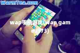 wap手机游戏(wap game3373)