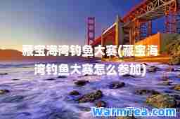 藏宝海湾钓鱼大赛(藏宝海湾钓鱼大赛怎么参加)