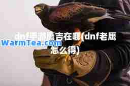 dnf手游鹰吉在哪(dnf老鹰怎么得)