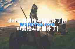 dnf手游男格斗时装补丁(dnf男格斗武器补丁)