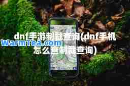 dnf手游制裁查询(dnf手机怎么查制裁查询)
