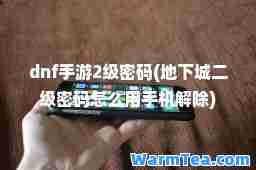 dnf手游2级密码(地下城二级密码怎么用手机解除)